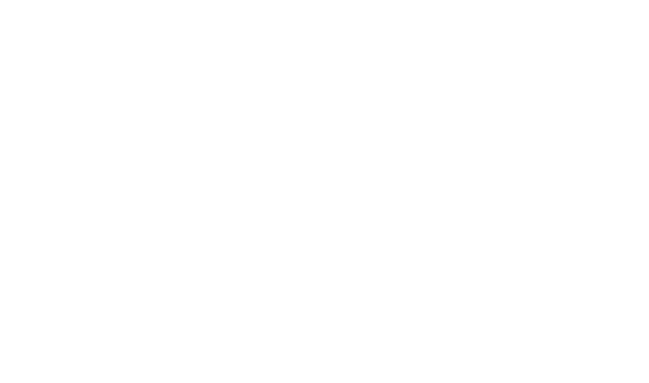 Felipe Nomelini Logo
